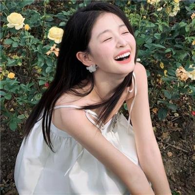 百日蔷薇