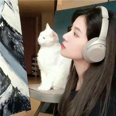 脂粉拳王